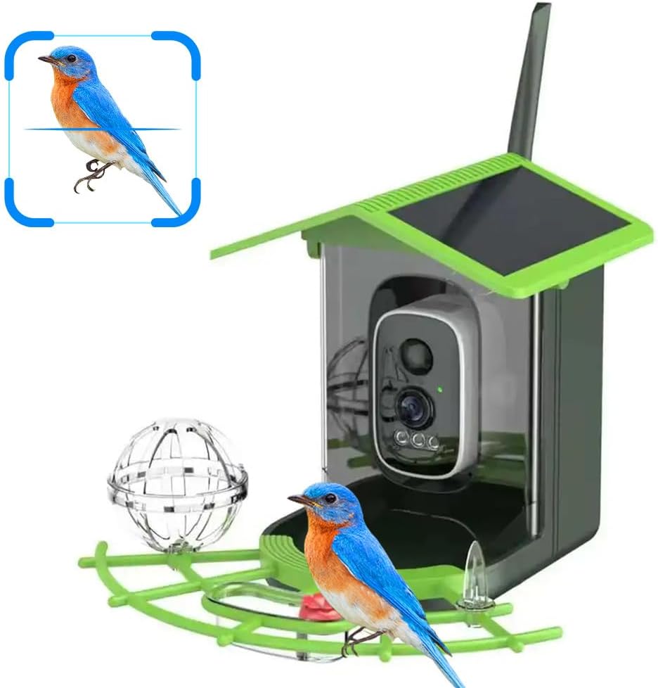 Real Time Bird watching WIFI A - A1 Watches & Jewelry New York Photos recensione e prezzo