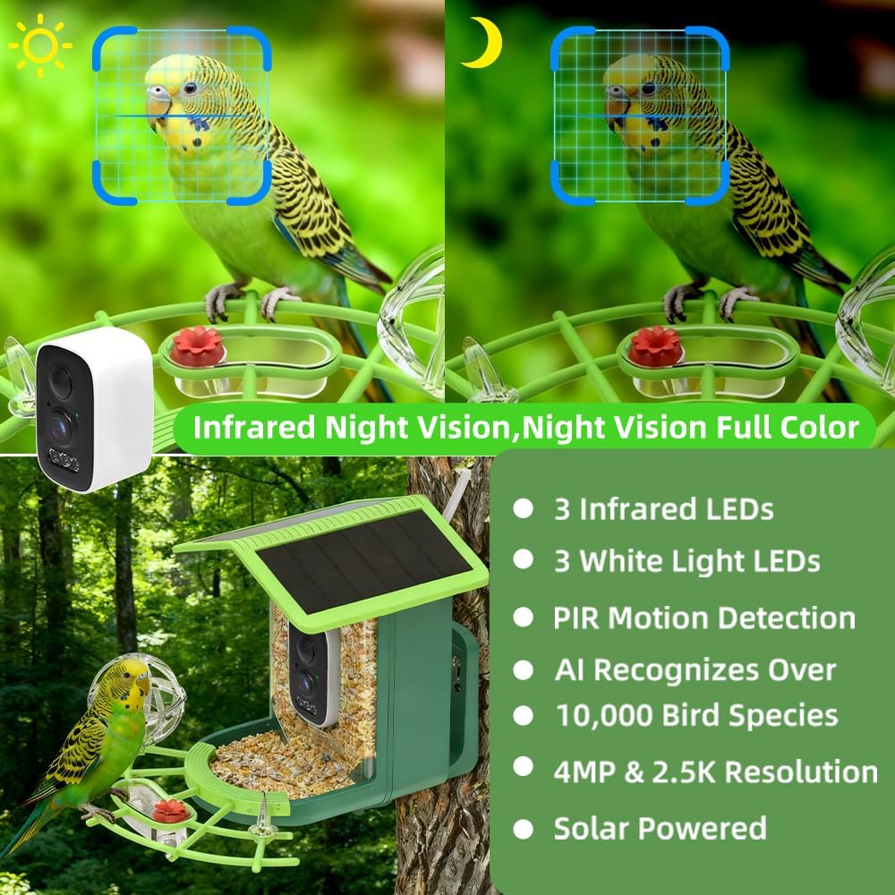 Real Time Bird watching WIFI A - A1 Watches & Jewelry New York Photos recensione e prezzo