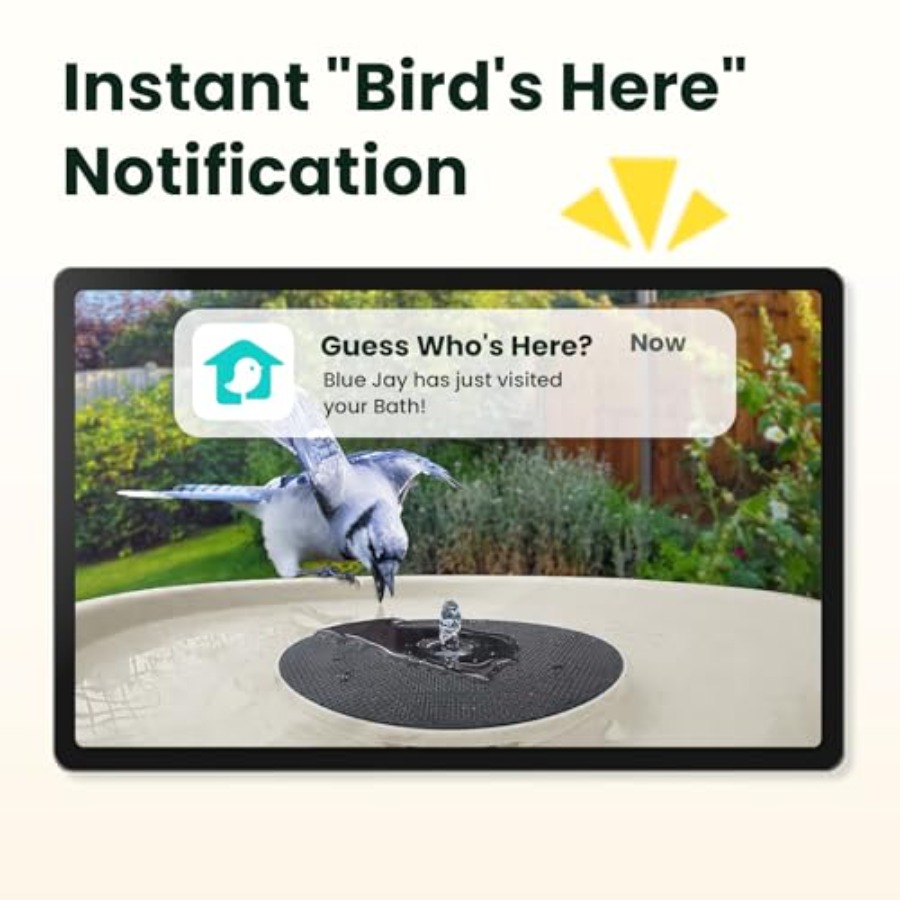 Bird Watching Smart Bird Bath  - Watches & Jewelry Repair Center New York recensione e prezzo