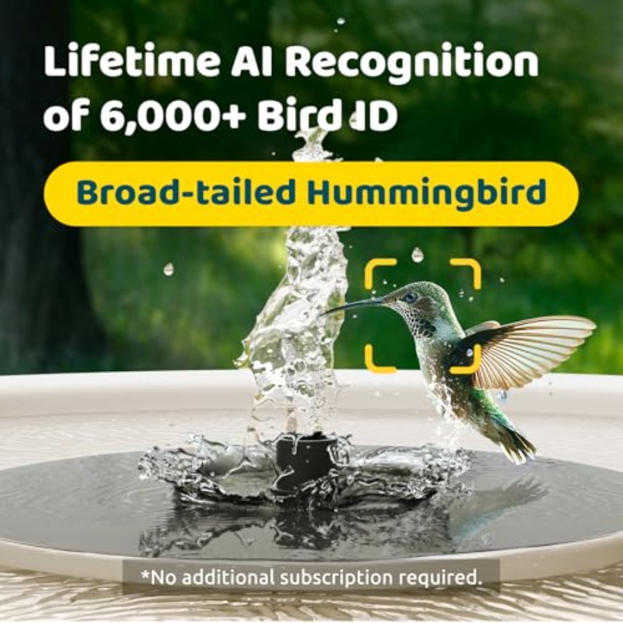 Bird Watching Smart Bird Bath  - Watches & Jewelry Repair Center New York recensione e prezzo