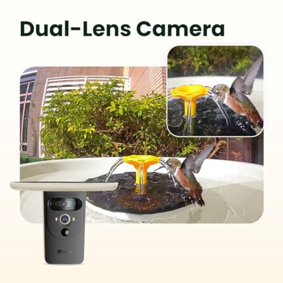 Bird Watching Smart Bird Bath  - Watches & Jewelry Repair Center New York recensione e prezzo