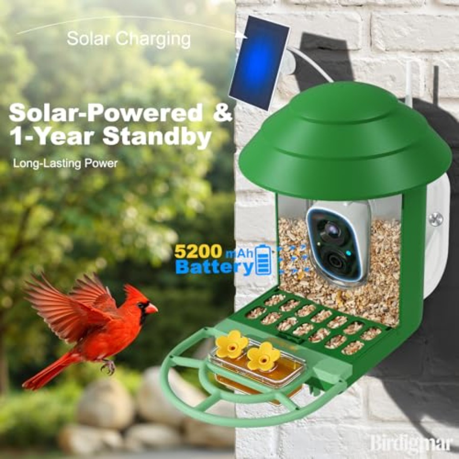 Bird Feeder with Camera for Ou - Watches & Jewelry Repair Center New York recensione e prezzo