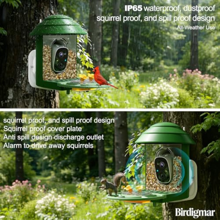 Bird Feeder with Camera for Ou - Watches & Jewelry Repair Center New York recensione e prezzo